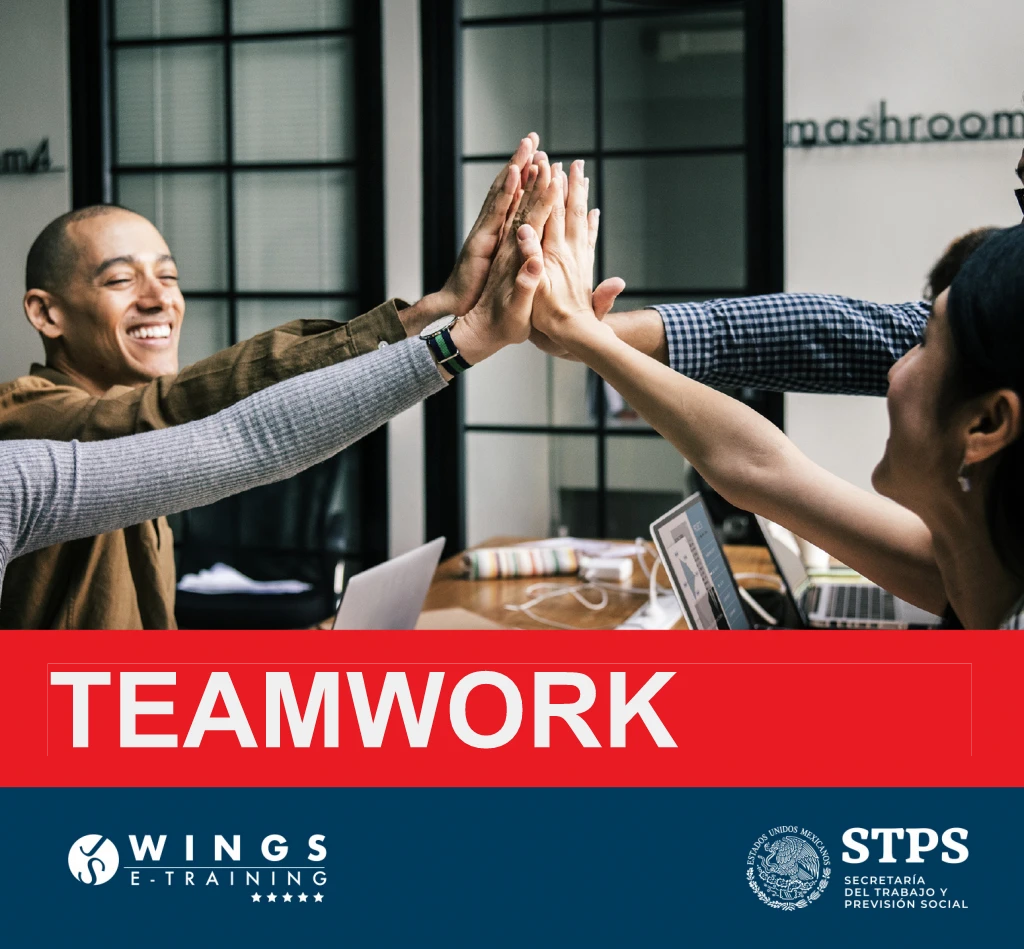 cover_wings_store Team work