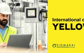 Yellow Belt certification