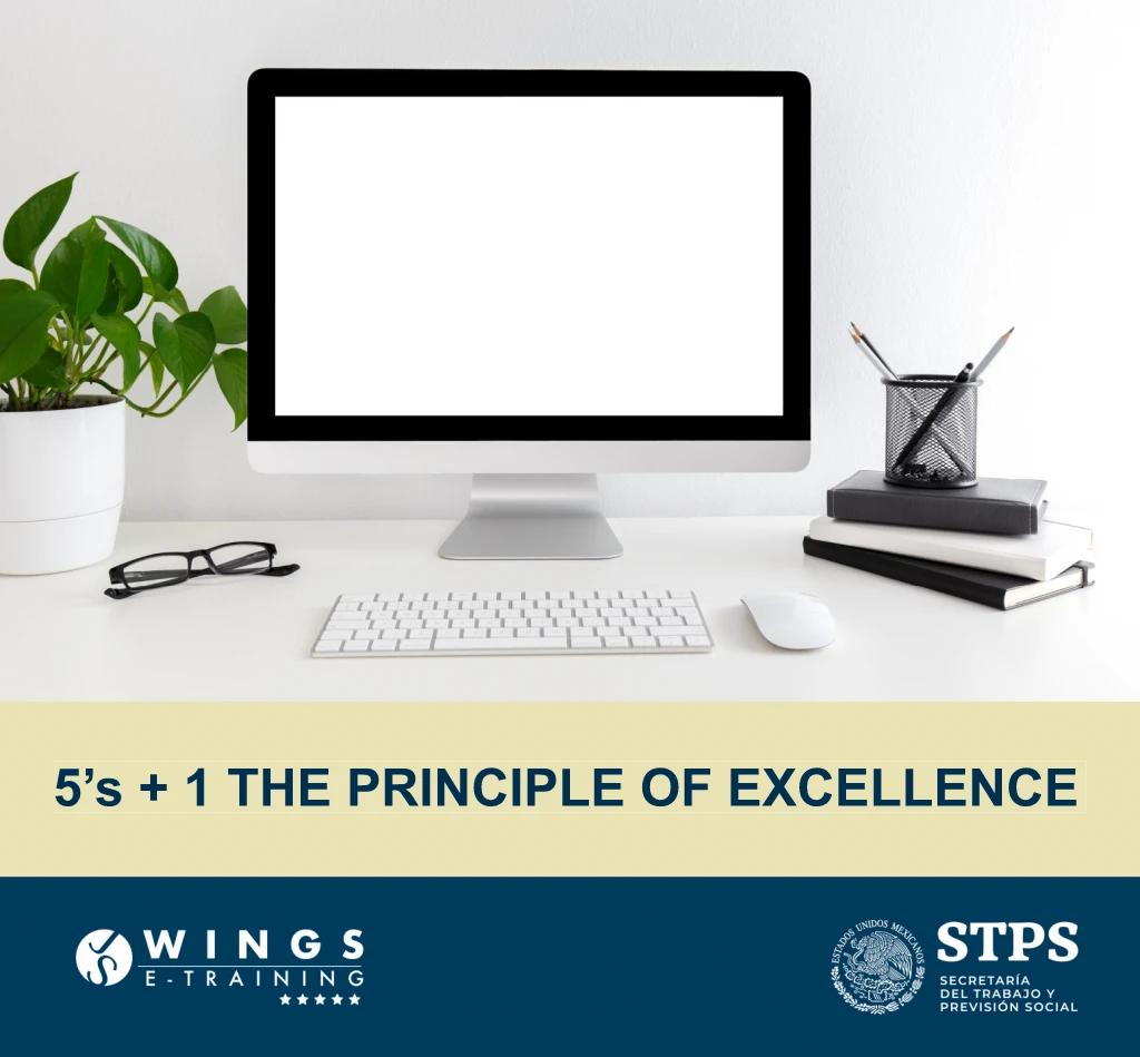 cover_wings_store 5’s + 1 The Principle of Excellence wings e-training