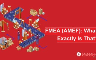 FMEA (Failure Mode and Effects Analysis; AMEF)