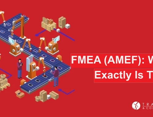 AMEF: What is that all about?