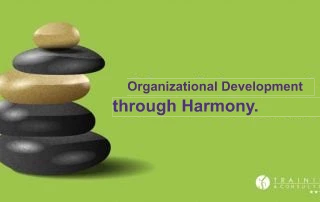 Organizational Development through Harmony.