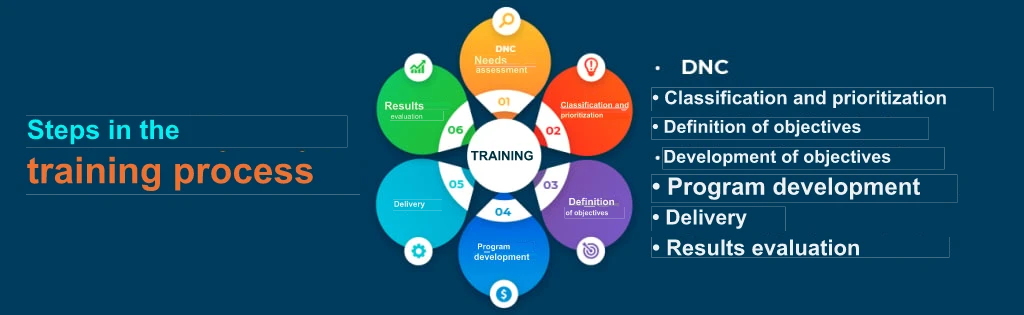 steps-of-the-training-process