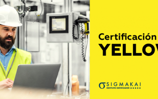 Certificación Yellow Belt