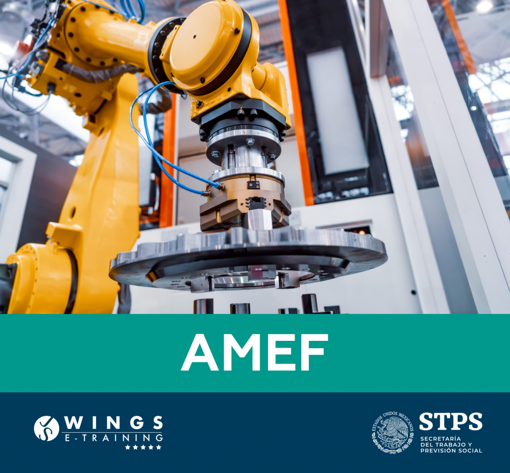 amef wings e-training