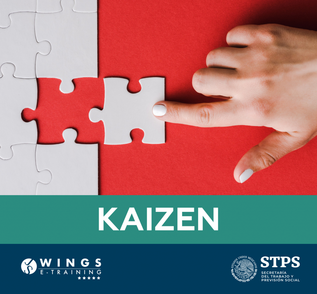 cover_wings_store Kaizen wings e-training