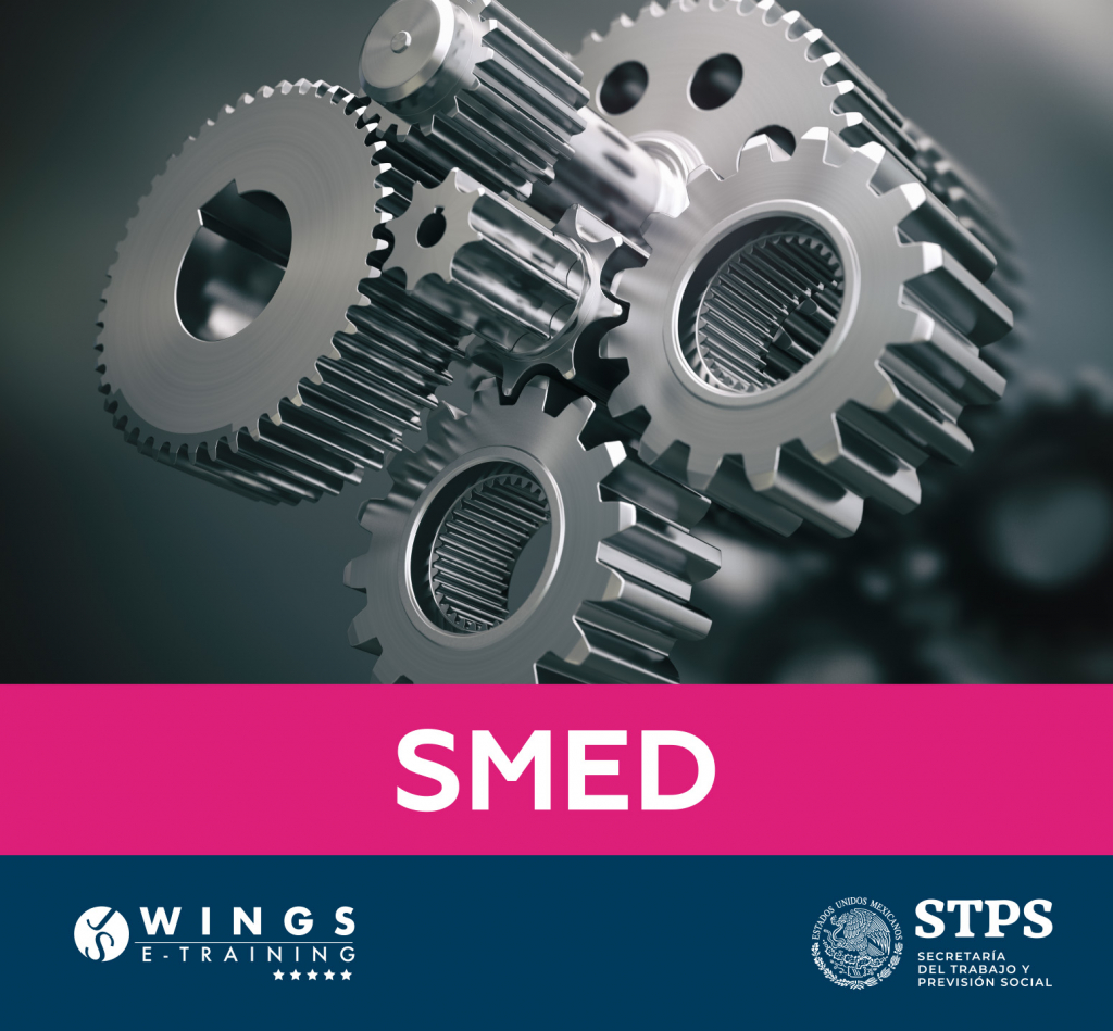 cover_wings_store smed wings e-training