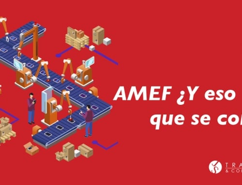 AMEF ¿Y eso con que se come?