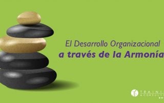 El Desarrollo Organizacional a través de la Armonía.