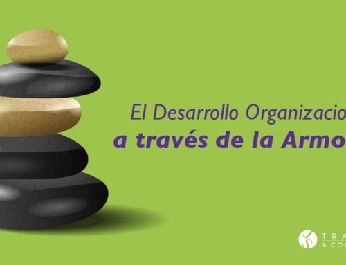 El Desarrollo Organizacional a través de la Armonía