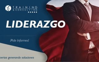 De la insoportable motivación del ser y el liderazgo de los equipos de trabajo