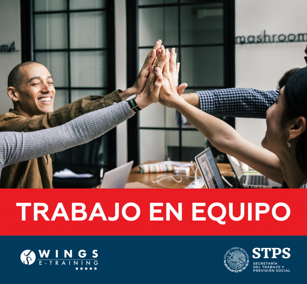 portada_tienda_wings Trabajo en Equipo