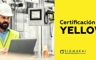 Certificación Yellow Belt