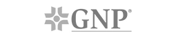 JS logos web-gnp