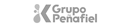 JS logos web-penafiel